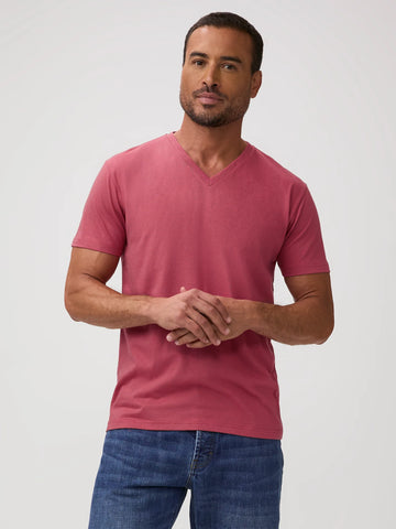 Spring Essentials V-Neck 6-Pack